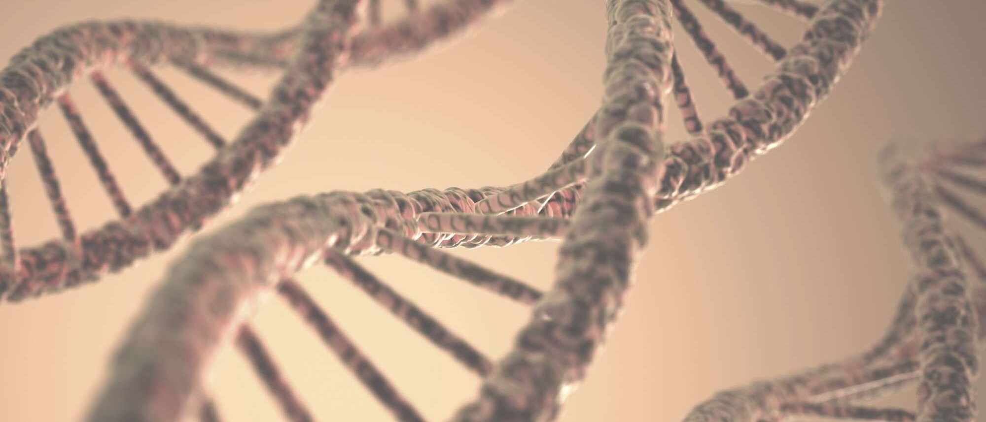 genetic profile and testing graphic image
