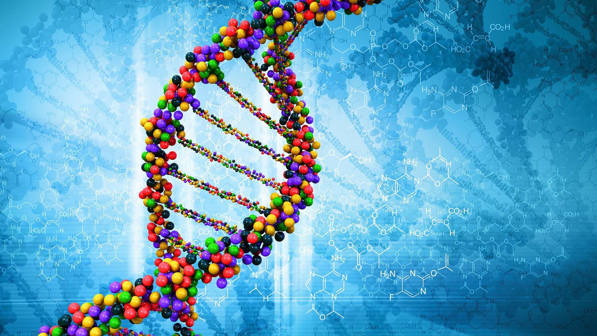 genetic profile and testing graphic image