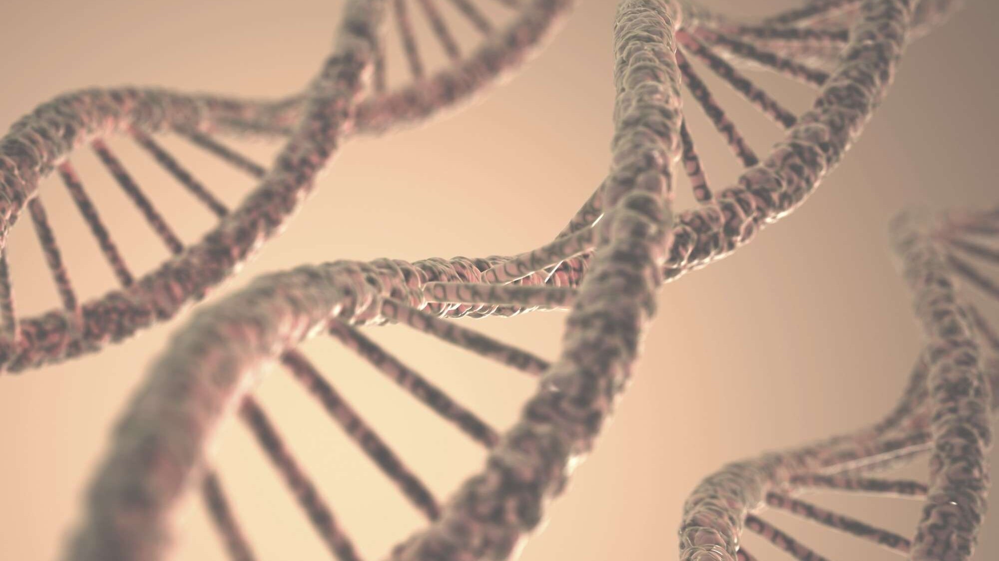 genetic profile and testing graphic image