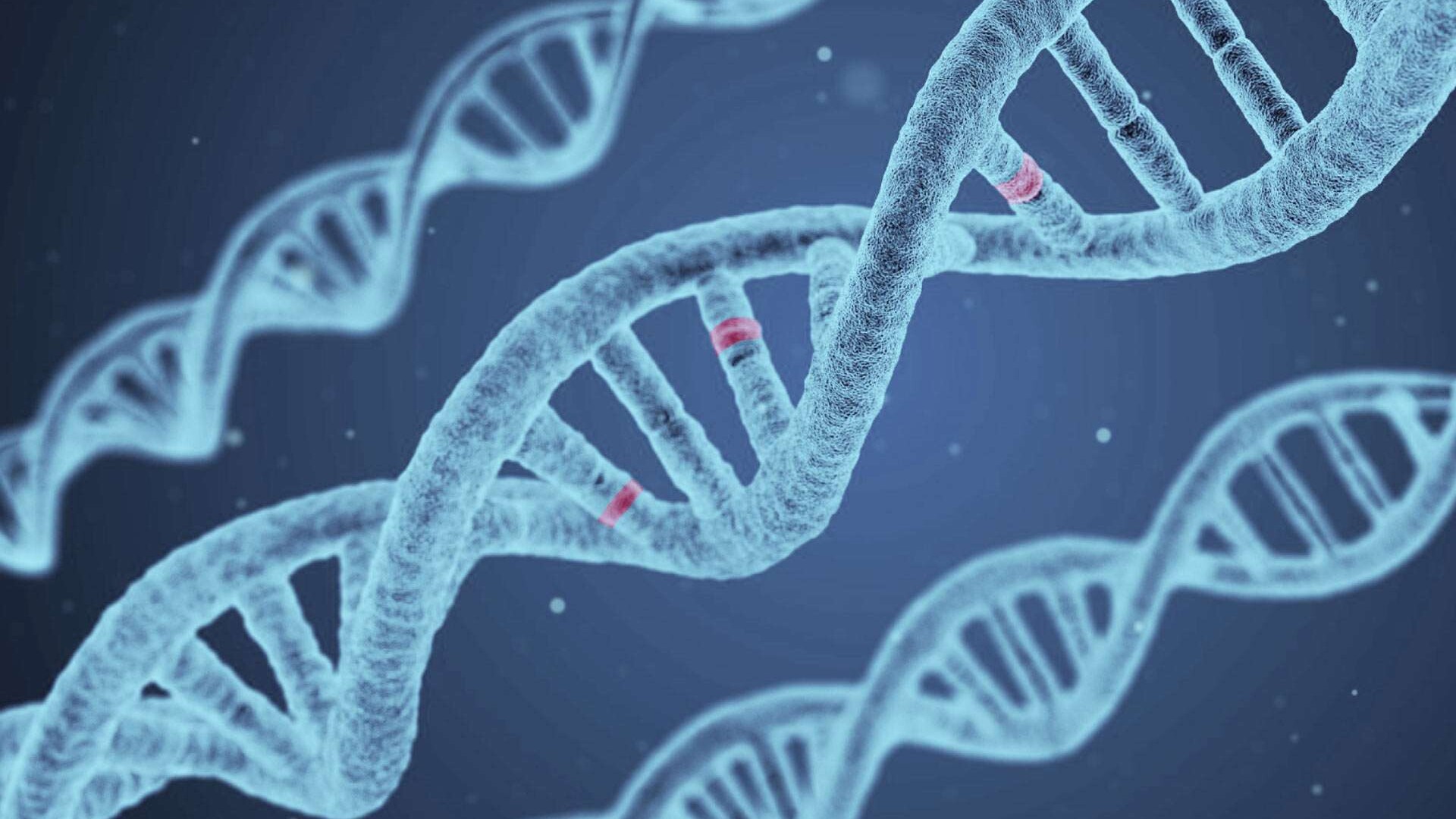 genetic profile and testing graphic image